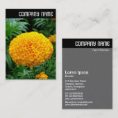 Carte De Visite En-tête V - Chrysanthème orange (Devant / Derrière)