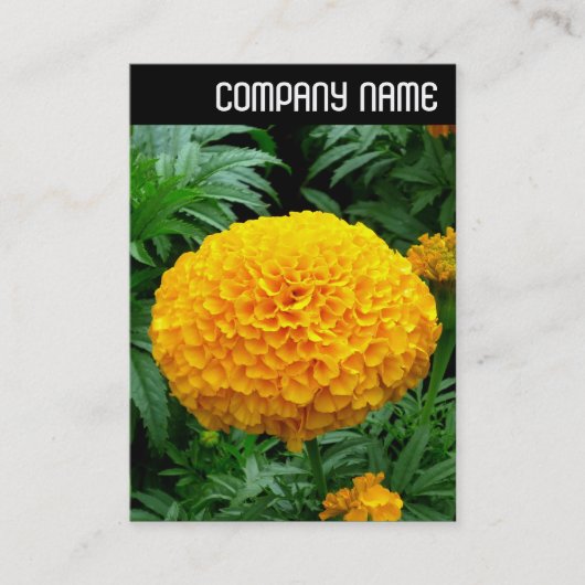 Carte De Visite En-tête V - Chrysanthème orange (Devant)