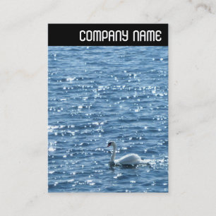 Carte De Visite En-tête V - Cygne