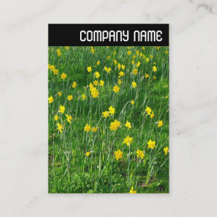 Carte De Visite En-tête V - Daffodils/Narcisse
