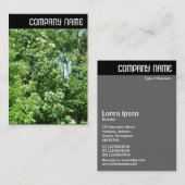 Carte De Visite En-tête V - Été (Devant / Derrière)