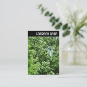 Carte De Visite En-tête V - Été (Debout devant)