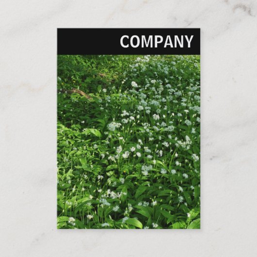 Carte De Visite En-tête V - Fleurs de bois (Devant)