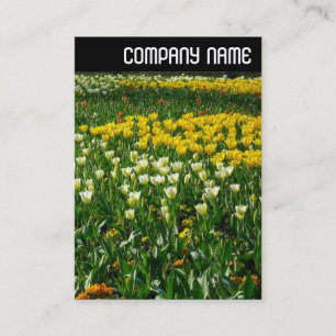 Carte De Visite En-tête V - Fleurs de ressort
