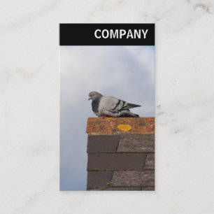 Carte De Visite En-tête V - Good Morning Pigeon