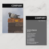 Carte De Visite En-tête V - Good Morning Pigeon (Devant / Derrière)