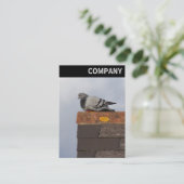 Carte De Visite En-tête V - Good Morning Pigeon (Debout devant)