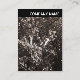 Carte De Visite En-tête V - Image - Arbres à plan