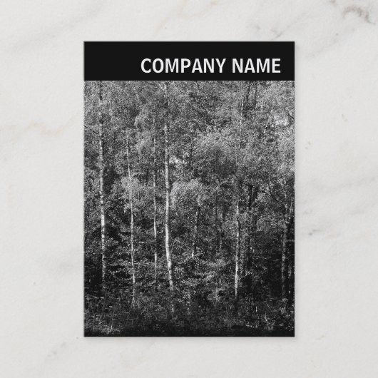 Carte De Visite En-tête V - Image - Hêtres (Devant)