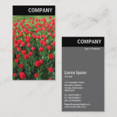 Carte De Visite En-tête V - Lit de Rouges Tulipes 01 (Devant / Derrière)