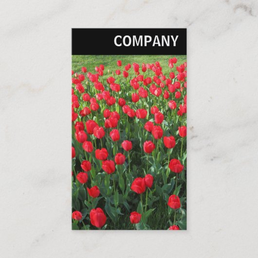 Carte De Visite En-tête V - Lit de Rouges Tulipes 01 (Devant)