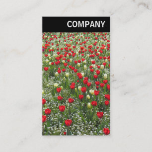 Carte De Visite En-tête V - Lit de tulipes