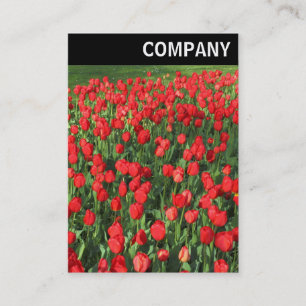 Carte De Visite En-tête V - Lit de Tulipes Rouges 02