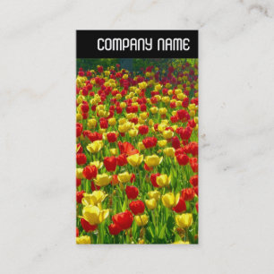 Carte De Visite En-tête V - Mer des Tulipes