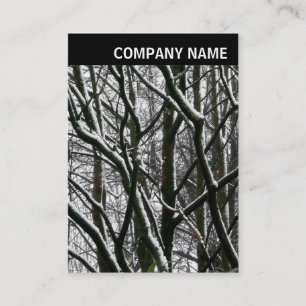 Carte De Visite En-tête V - Photo - Branches hivernales