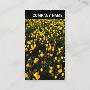 Carte De Visite En-tête V - Photo - Crocus