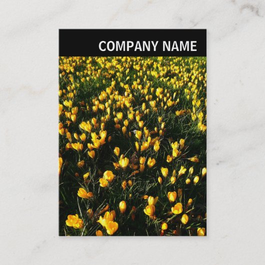 Carte De Visite En-tête V - Photo - Crocus (Devant)