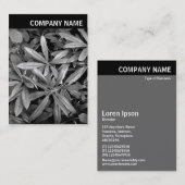 Carte De Visite En-tête V - Photo - Feuilles Rhododendron (Devant / Derrière)