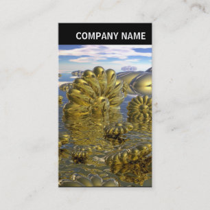 Carte De Visite En-tête V - Photo - Pays des Midas