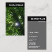 Carte De Visite En-tête V - Photo - Soleil dans les arbres (Devant / Derrière)