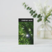 Carte De Visite En-tête V - Photo - Soleil dans les arbres (Debout devant)