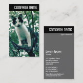 Carte De Visite En-tête V - Superfluence de la méchanceté (Devant / Derrière)