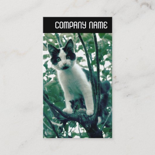 Carte De Visite En-tête V - Superfluence de la méchanceté (Devant)