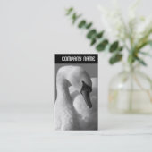 Carte De Visite En-tête V - Swan B&W (Debout devant)
