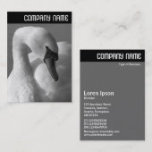 Carte De Visite En-tête V - Swan B&W (Devant / Derrière)