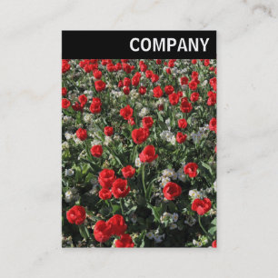 Carte De Visite En-tête V - Tulipes rouges et Primroses