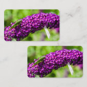 Carte De Visite énergie katydone (Devant / Derrière)