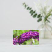 Carte De Visite énergie katydone (Debout devant)