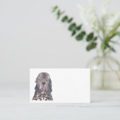 CARTE DE VISITE ENGLISH SETTER (Debout devant)