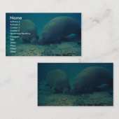 Carte De Visite Enracinement de Manatte dans le sable (Devant / Derrière)