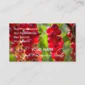 Carte De Visite Ensemble de curry de fruits rouges mûrs pour fermi (Dos)