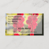 Carte De Visite Ensemble de curry rouge fruité mûr pour fermiers (Dos)