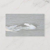 Carte De Visite Épaulard (Dos)