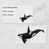 Carte De Visite Épaulard, orque d'Orcinus (Devant / Derrière)