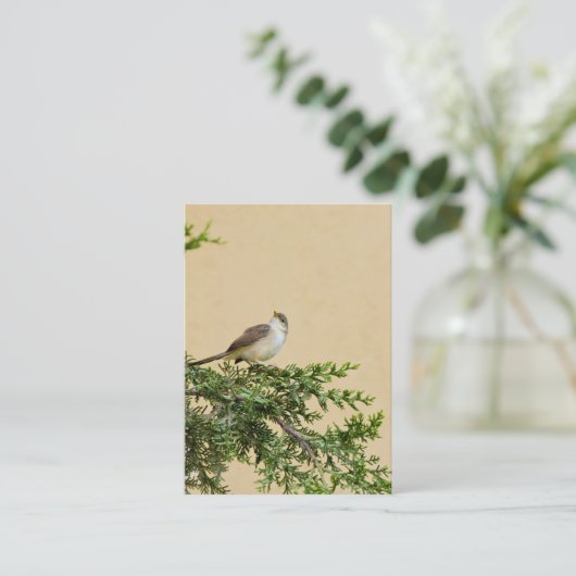 Carte De Visite Épervier (Debout devant)