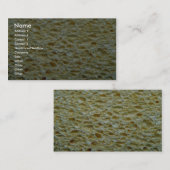 Carte De Visite Éponge (Devant / Derrière)