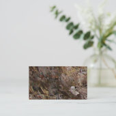 Carte De Visite Éponges (Debout devant)