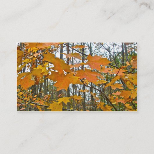 Carte De Visite Érable d'automne (Dos)