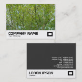 Carte De Visite érable japonais (Devant / Derrière)