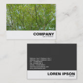 Carte De Visite érable japonais (Devant / Derrière)