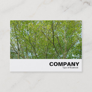 Carte De Visite érable japonais