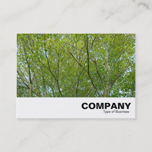 Carte De Visite érable japonais (Devant)