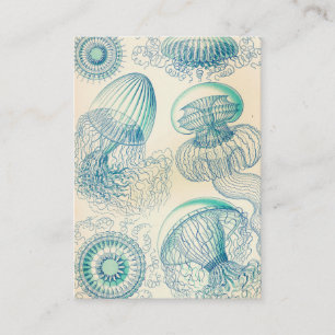Carte De Visite Ernst Haeckel Leptomedusa Thecate Hydroids