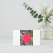 Carte De Visite essai (Debout devant)