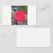 Carte De Visite essai (Devant / Derrière)