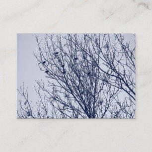 Carte De Visite Étourneaux dans un arbre